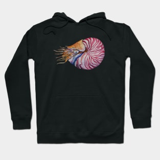 Spiral Serenity | Nautilus in Watercolor Hoodie